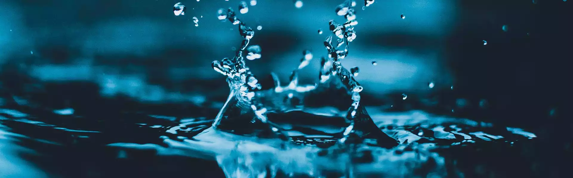 acqua