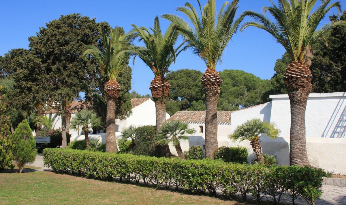 Casa Garibaldi